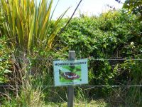 Release site for the Honshu white admiral butterfly caterpillars with sign added. Photo: Murray Dawson, Manaaki Whenua - Landcare Research