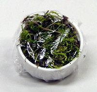 lid covered with cling