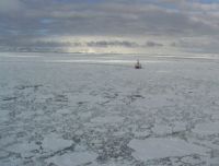 US Coastguard icebreaker in the Ross Sea. Image Kerry Barton