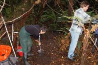 Janet and Alan preparing the forest soil coring site near Tautuku, Catlins Forest Park.