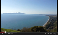 kapiti_vid