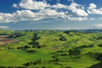 Soil quality underpins New Zealand's rural economy 