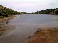 Lake margins at Kaihoka Lakes, Westland (Janet Wilmshurst)