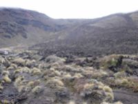 Tongariro National Park (Susan Wiser)