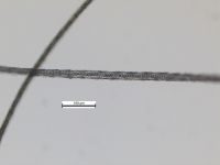 Guard hair medulla: Narrow aeriform lattice