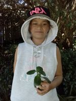 Student with fairy crassula. Photographed by a student of Wakaaranga Primary School