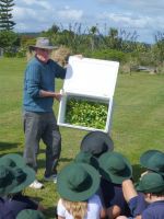 Hugh Gourlay showing Paroa School students the container with 1,000 Honshu white admiral butterfly caterpillars that they are about to release. Photo: Murray Dawson, Manaaki Whenua - Landcare Research