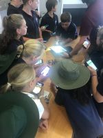 Paroa School students learning to use the iNaturalist app. Photo: Rianna Farr, Paroa School
