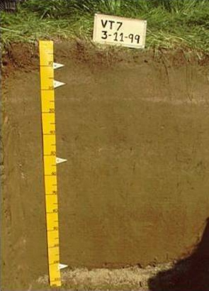 On some farms heavy soils have more than twice the water holding capacity of light soils.