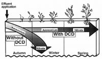 The influence of a nitrification inhibitor (dicyandiamide--DCD) on the rate of N<sub>2</sub>O being released from soils receiving effluent. 