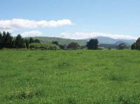 Model includes seasonal variations in pasture growth and N uptake rates.