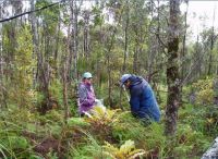 A carbon assessment plot