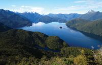 Resolution Island, Fiordland. Image - Peter McMurtrie.