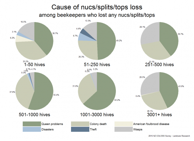 <!--  --> Summary of Reasons Underlying Nuc/Split/Top Losses: Operation size share of nucs/splits/tops losses attributed to each cause based on reports from all respondents who reported losses, by operation size.