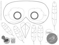 Silvereye mask for colouring in