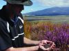 Landcare Research researcher Paul Peterson with a handful of heather beetles, another biocontrol agent that’s helping New Zealand beat its weed problem.