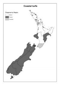 Coastal turfs: Presence by Region