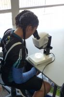 Student examining seeds through microscope 