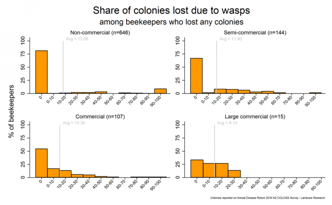 <!-- Winter 2016 colony losses that resulted from wasp problems based on reports from all respondents who lost any colonies, by operation size. --> Winter 2016 colony losses that resulted from wasp problems based on reports from all respondents who lost any colonies, by operation size.