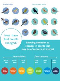 How bird counts have changed