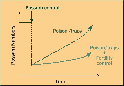 Using biological control as well as conventional control will slow down the rate at which possum numbers build up. This means possum control can be done less often.