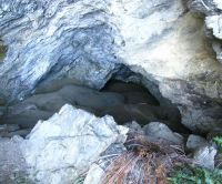 The cave on Mt Nicholas Station where in the 1870s Taylor White discovered the first moa coprolites. The sediment has been thoroughly burrowed by rabbits since.