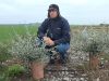 Marco Gonzales on a Trees for Bees demonstration farm